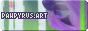 pawpyrus site button